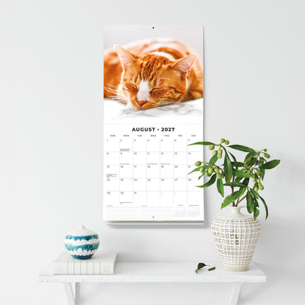 Ginger Cats 2027 square wall calendar - wall display