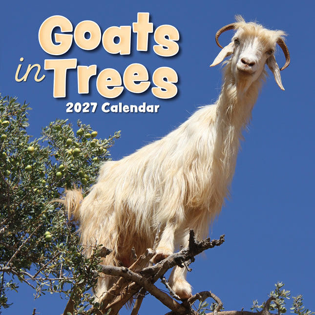 Goats in Trees 2027 Square Wall Calendar cover