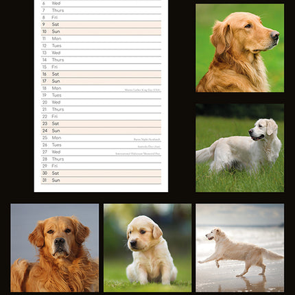 Golden Retrievers 2027 Premium Slim Wall Calendar back cover