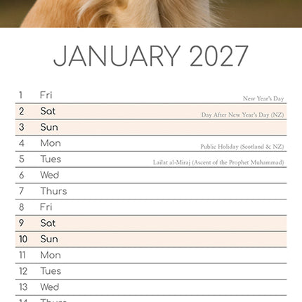 Golden Retrievers 2027 Premium Slim Wall Calendar January sample page