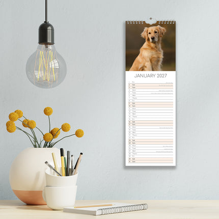 Golden Retrievers 2027 Premium Slim Wall Calendar lifestyle image
