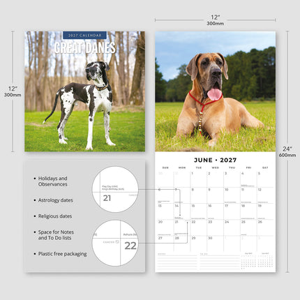 Great Danes 2027 square wall calendar - product specifications