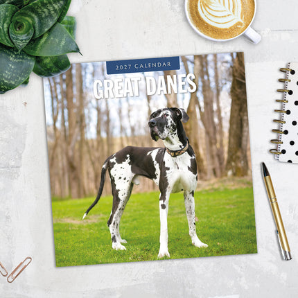 Great Danes 2027 square wall calendar - image detail