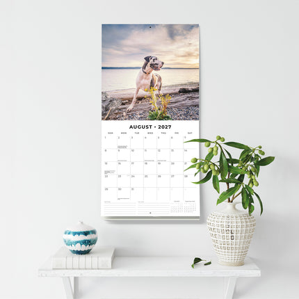 Great Danes 2027 square wall calendar - wall display