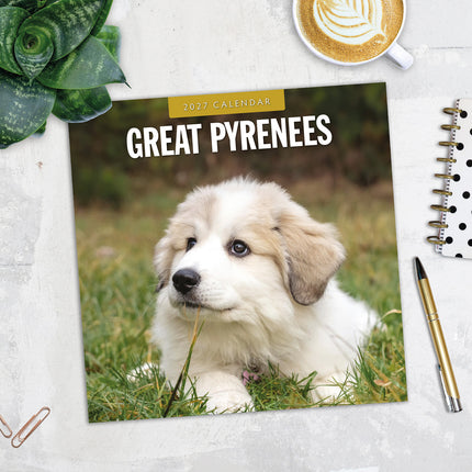 Great Pyrenees 2027 square wall calendar - image detail