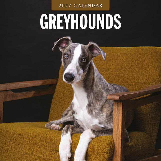 Greyhounds 2027 square wall calendar - front cover