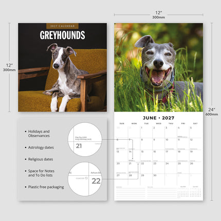 Greyhounds 2027 square wall calendar - product specifications