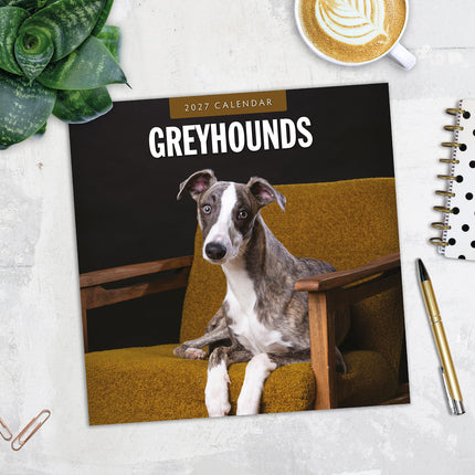 Greyhounds 2027 square wall calendar - image detail