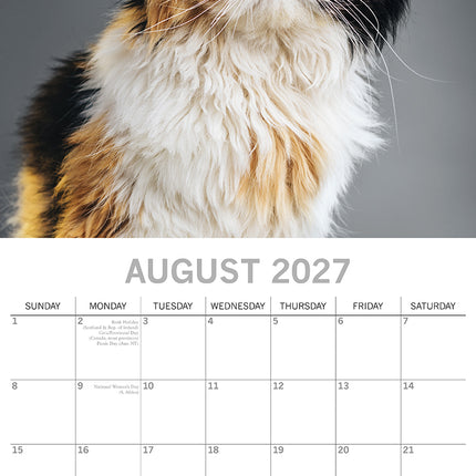 Grumpy Cats 2027 Premium Square Wall Calendar August sample page