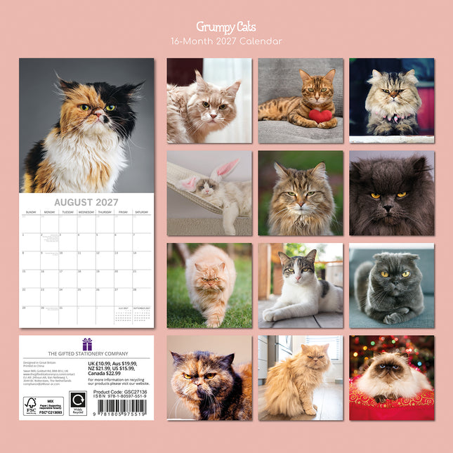 Grumpy Cats 2027 Premium Square Wall Calendar back cover