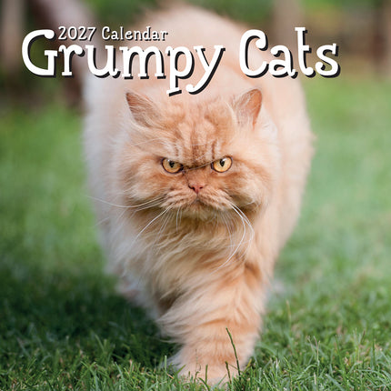 Grumpy Cats 2027 Premium Square Wall Calendar cover
