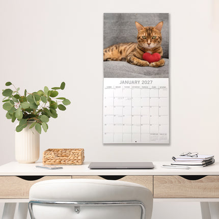 Grumpy Cats 2027 Premium Square Wall Calendar lifestyle image