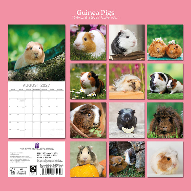 Guinea Pigs 2027 Square Wall Calendar back cover