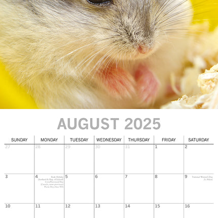 Hamsters - 2025 Square Wall Calendar Pets Animals 16 Months Premium Planner Gift