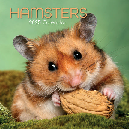 Hamsters - 2025 Square Wall Calendar Pets Animals 16 Months Premium Planner Gift