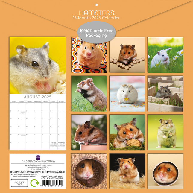 Hamsters - 2025 Square Wall Calendar Pets Animals 16 Months Premium Planner Gift