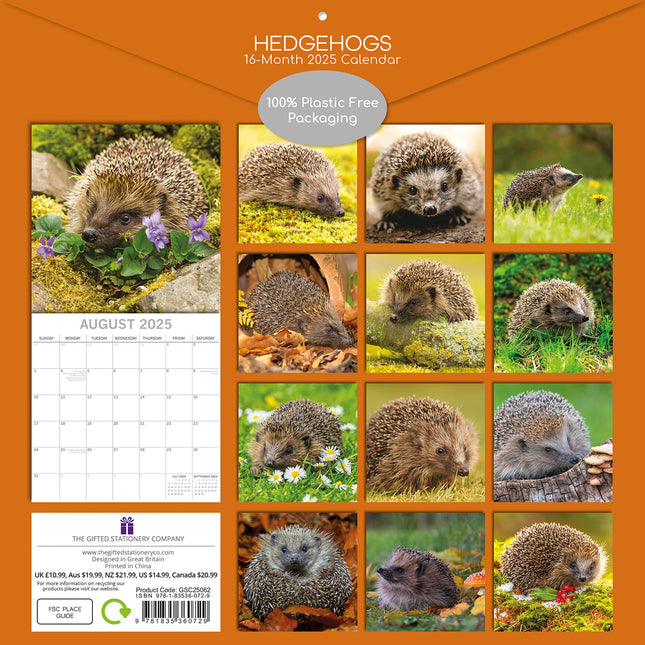 Hedgehogs 2025 Square Wall Calendar Pets Animals 16 Months Premium Planner Gift