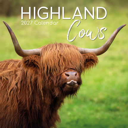 Highland Cows 2027 Premium Square Wall Calendar cover