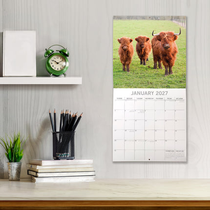 Highland Cows 2027 Premium Square Wall Calendar lifestyle image