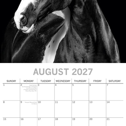 Horse Portraits 2027 Premium Square Wall Calendar August sample page