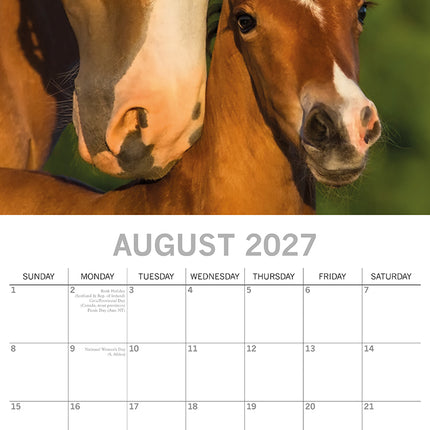 Horses 2027 Premium Square Wall Calendar August sample page