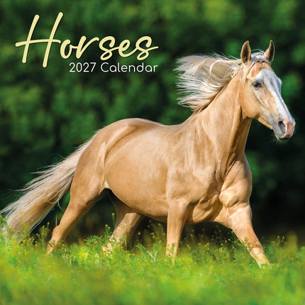 Horses 2027 Premium Square Wall Calendar cover