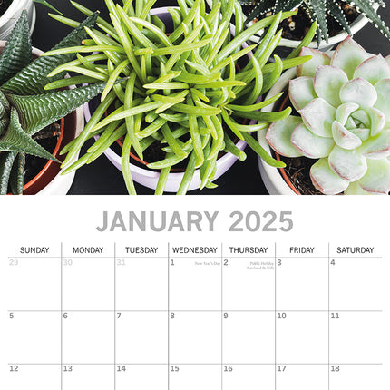House Plants - 2025 Square Wall Calendar Floral 16 Months Premium Planner Gift