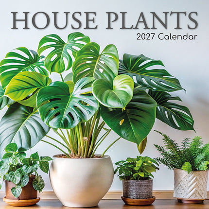 House Plants 2027 Premium Square Wall Calendar cover