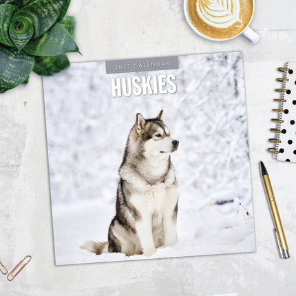 Huskies 2027 square wall calendar - image detail