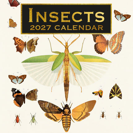 Insects 2027 Premium Square Wall Calendar cover