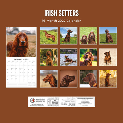 Irish Setters 2027 square wall calendar - back cover
