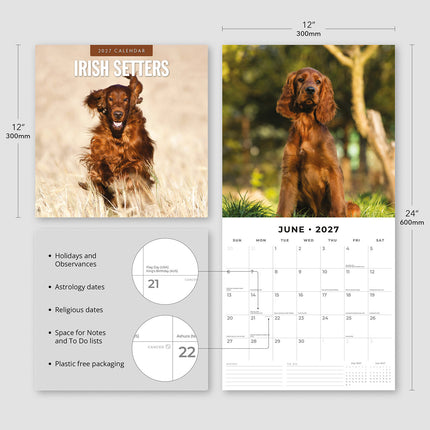 Irish Setters 2027 square wall calendar - product specifications