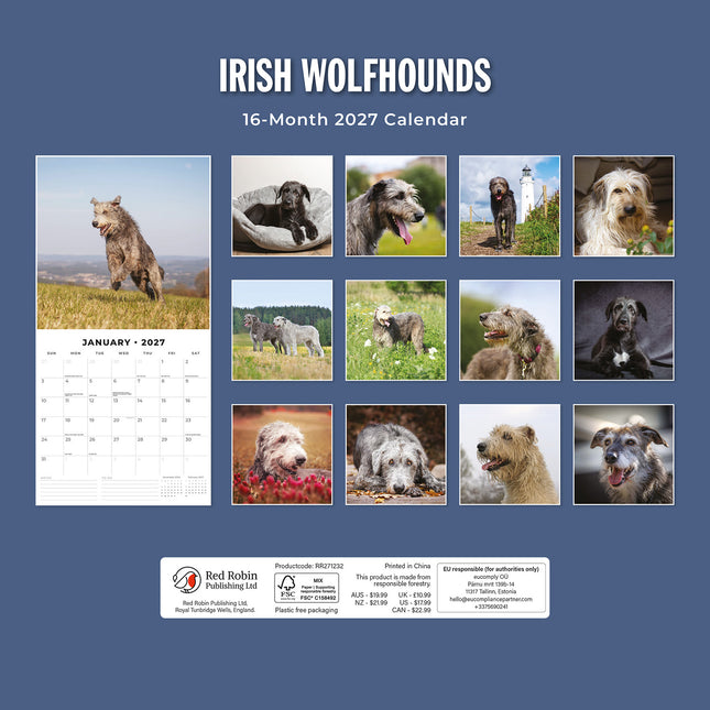 Irish Wolfhounds 2027 square wall calendar - back cover