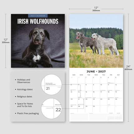 Irish Wolfhounds 2027 square wall calendar - product specifications