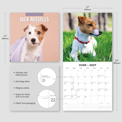 Jack Russells 2027 square wall calendar - product specifications