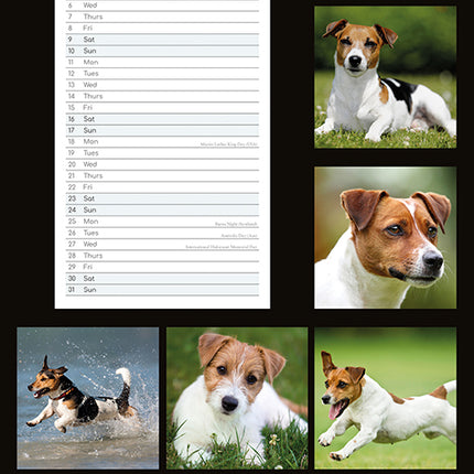 Jack Russells 2027 Premium Slim Wall Calendar back cover