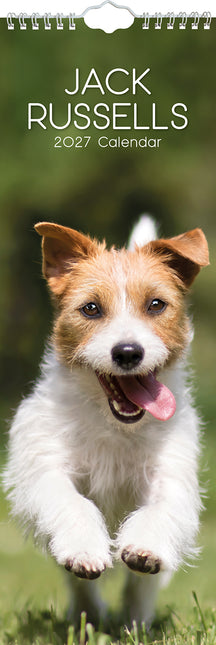 Jack Russells 2027 Premium Slim Wall Calendar cover