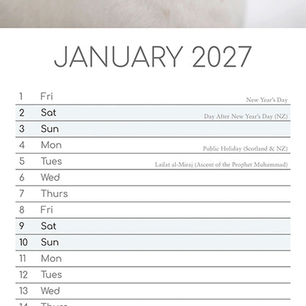 Jack Russells 2027 Premium Slim Wall Calendar lifestyle image