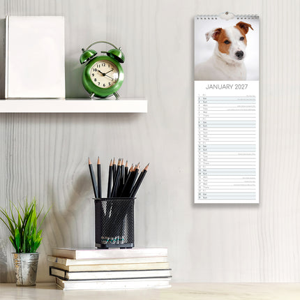 Jack Russells 2027 Premium Slim Wall Calendar lifestyle image
