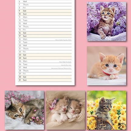 Kitten Love 2027 Premium Slim Wall Calendar back cover