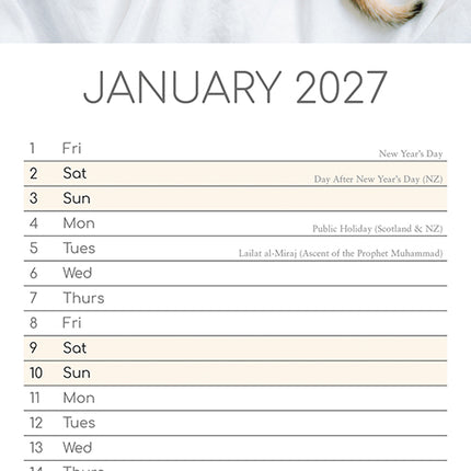 Kitten Love 2027 Premium Slim Wall Calendar January sample page