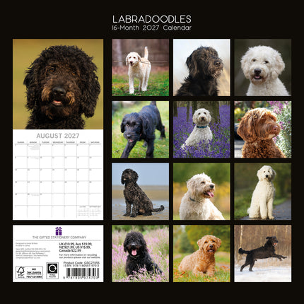 Labradoodles 2027 Premium Square Wall Calendar back cover