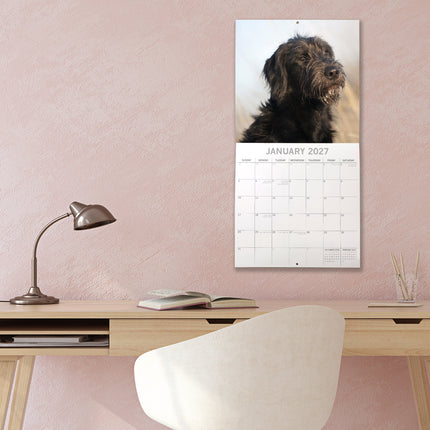 Labradoodles 2027 Premium Square Wall Calendar lifestyle image