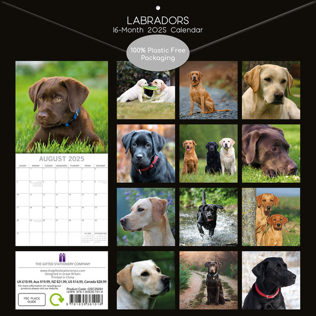 Labradors - 2025 Square Wall Calendar Dogs Pets Animals 16-Month Premium Planner