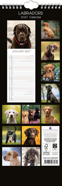 Labradors 2027 Premium Slim Wall Calendar back cover