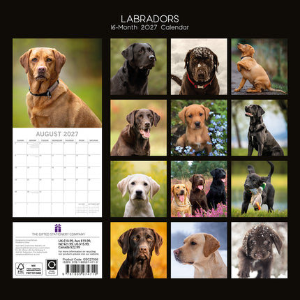 Labradors 2027 Premium Square Wall Calendar back cover