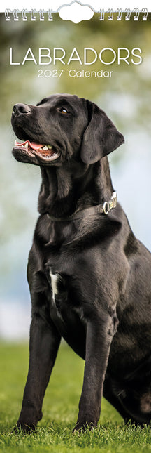 Labradors 2027 Premium Slim Wall Calendar cover