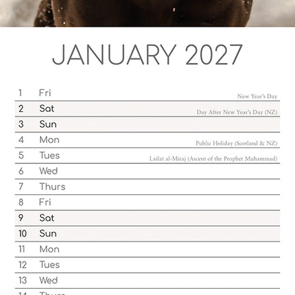 Labradors 2027 Premium Slim Wall Calendar January sample page