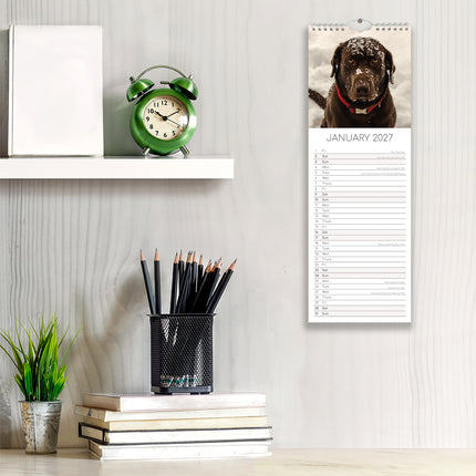 Labradors 2027 Premium Slim Wall Calendar lifestyle image