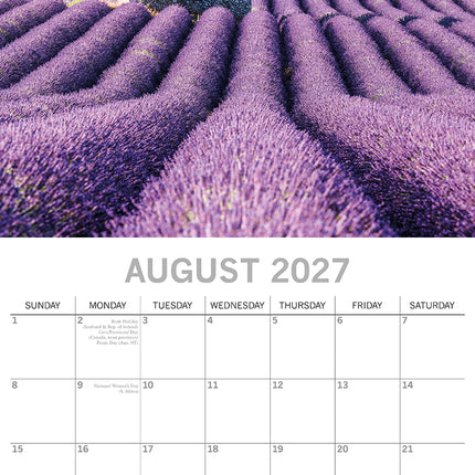 Lavender 2027 Premium Square Wall Calendar August sample page